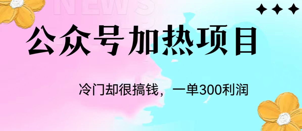 冷门公众号加热项目，每天1-2小时，一单100-300+网赚项目-副业赚钱-互联网创业-资源整合大蓝科技